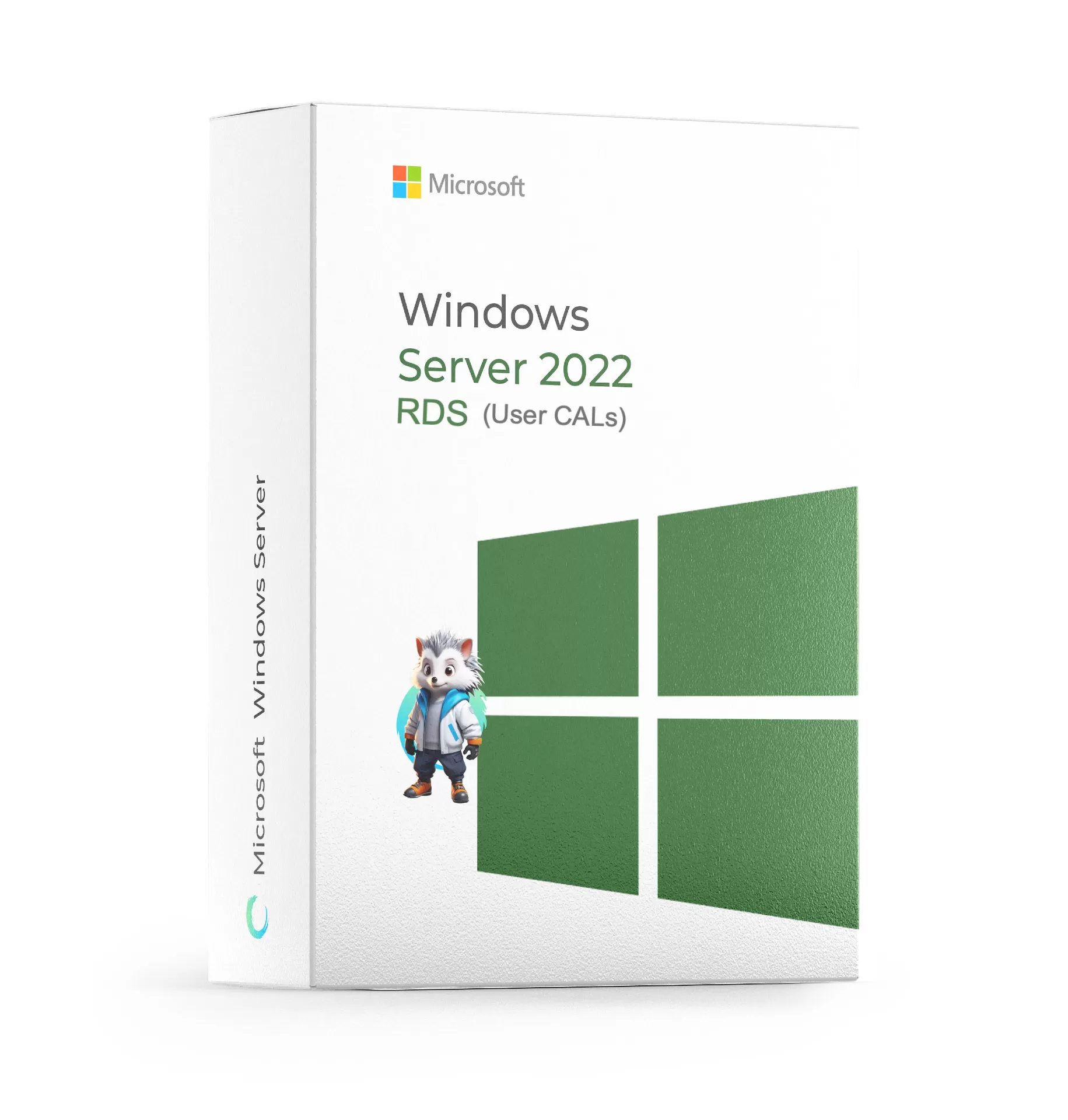 Microsoft Windows Server 2022 RDS User CALs